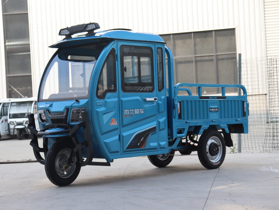 Cargo Electric Tricycle