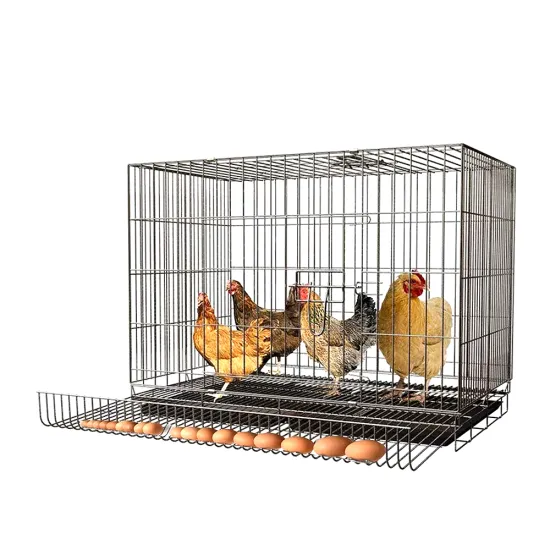 3-Tier Semi-Automatic Iron Wire Mesh Chicken Cage for Farms
