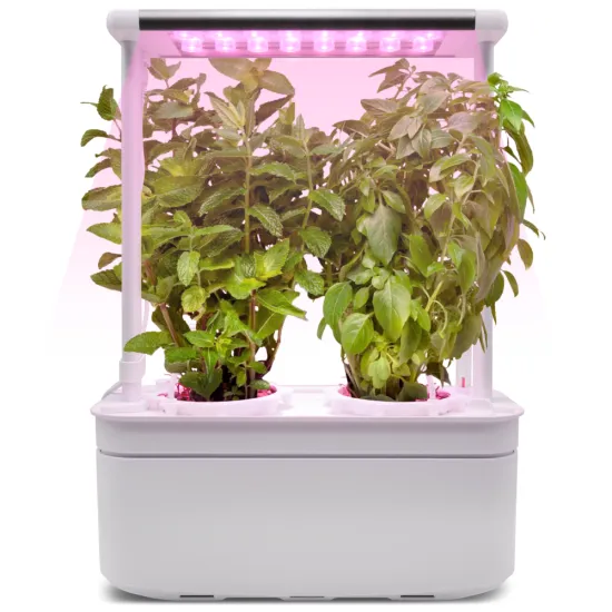 Smart Hydroponic Herb Garden Pots with LED Light