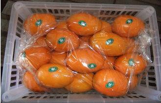 Juicy Tangerine Fresh Navel Orange Citrus Contains Protein