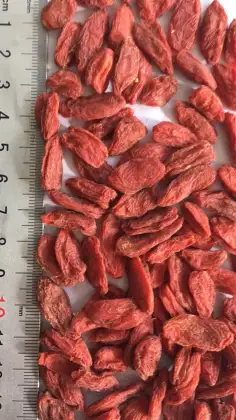 Best Quality Black goji berry  black Wolfberry