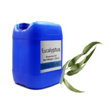 2020 New Natual Eucalyptus Mafuta Muhimu 100% safi