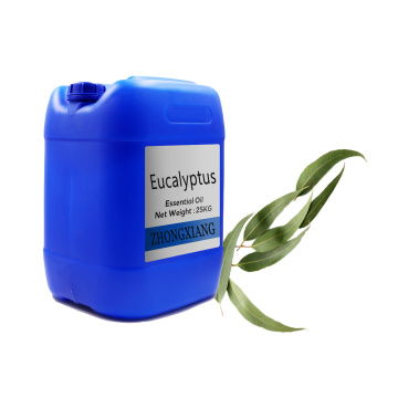 2020 Nuevo aceite esencial de eucalipto natural 100% puro