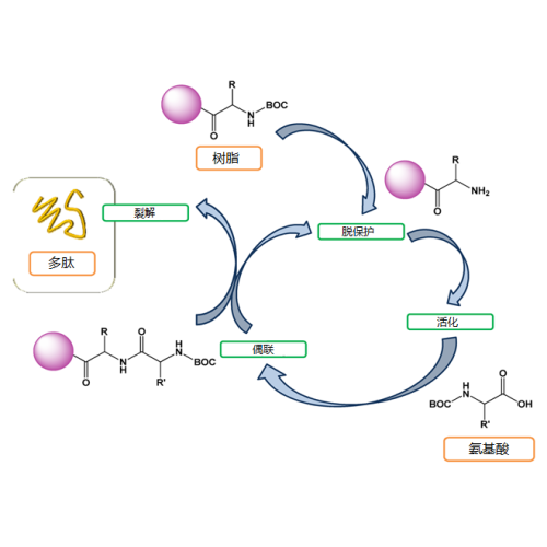Resins for Solid Phase Synthesis SPCR140
