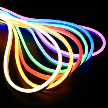 Popular Christmas Decorative 110V/220V RGB & Single Color LED Flexible Strip Lights