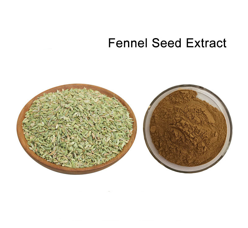 Fennel Extract supplement