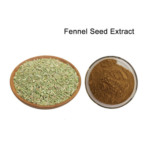 Hot Sale Fennel Extract