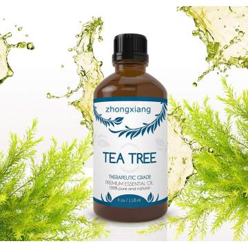 El mejor aceite puro del árbol del té puro del precio vende al por mayor