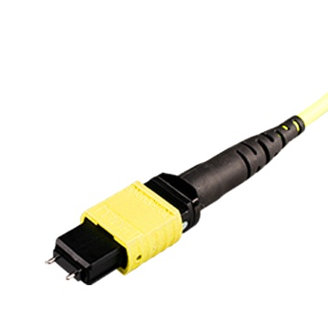 OEM 8 to 24 Core FTTH OM3 OM4 MTP MPO Patch Cord for Indoor/Outdoor Use