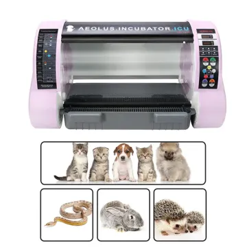 Pet ICU Incubator for Veterinary Clinics