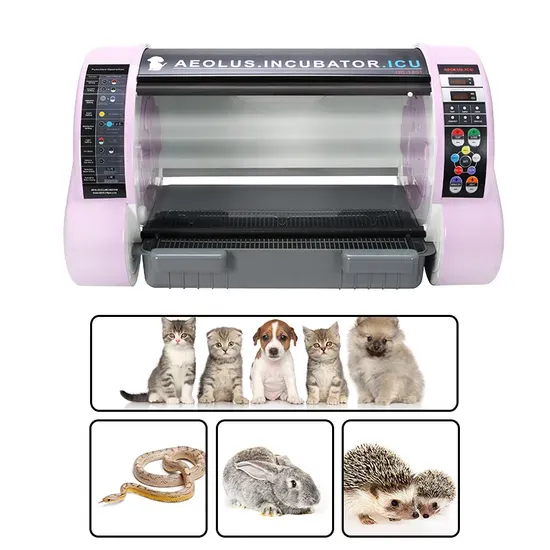 Pet ICU Incubator for Veterinary Clinics