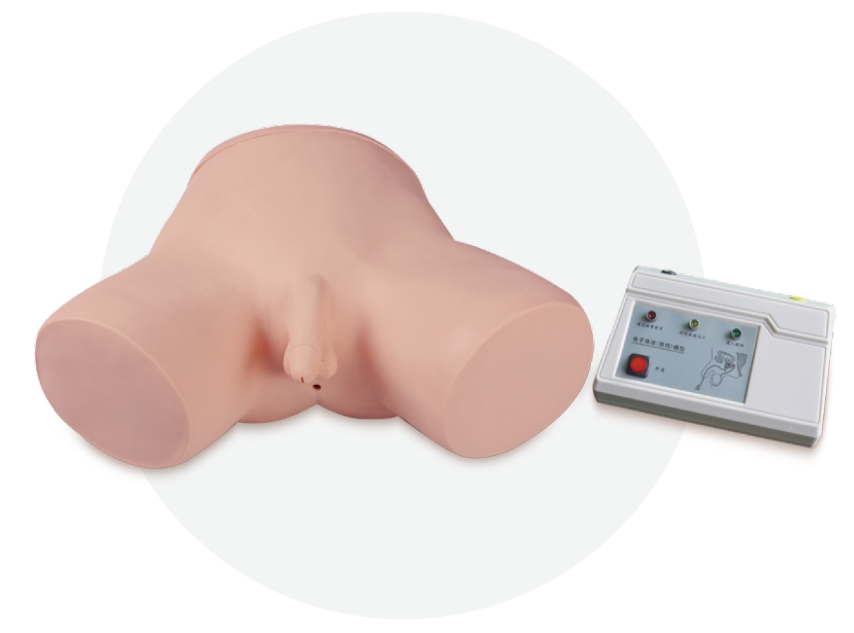 Monitoring Male Catheterization Model
