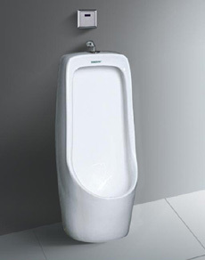 portable urinal