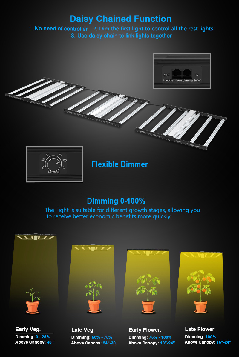growing vegetables indoors with led lights