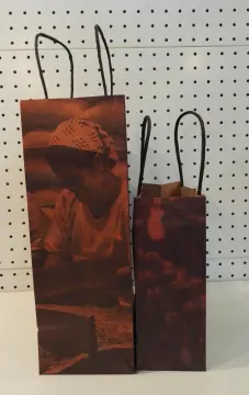 Plain Brown Paper Bags