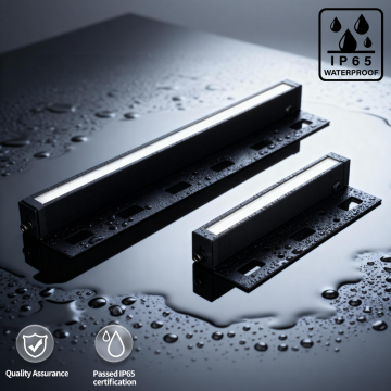 Low Voltage IP65 Waterproof IP65 LED Hardscape Light