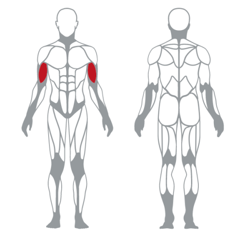 Bodybuilding Strength Training Alternate Curling Machine