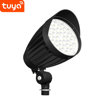 IP65 Waterproof Bronze Wall Spike Mounted Tuya RGBW LED Landscape Light for Garden