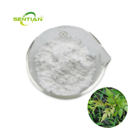 Dihydromyricetin: A Natural Solution for Health and Wellness