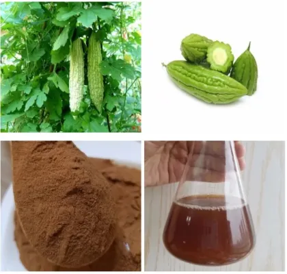 Bitter melon extract hot-sale