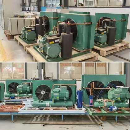 Customized Bitzer Semi-Enclosed Condenser Unit for Refrigerated Meat and Seafood Storage (10HP/20HP)
