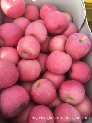 honey fuji apple stripped red apple golden apple