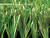 Monofilament soccer field artificial turf prices