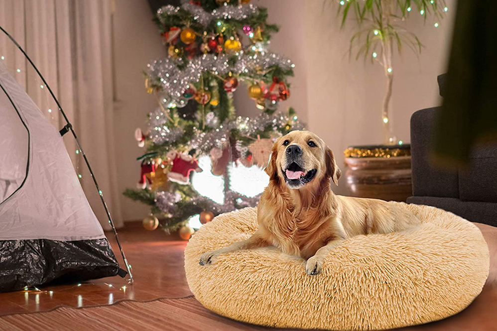 orvis dog bed