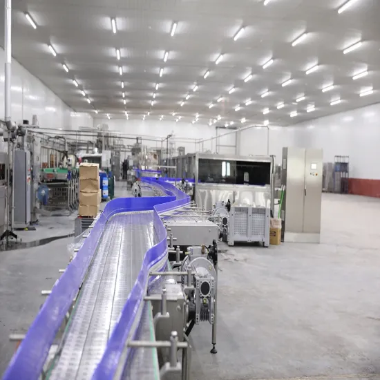 Ss316L Volume Rinsing Capping Soda Bottle Filling Machine