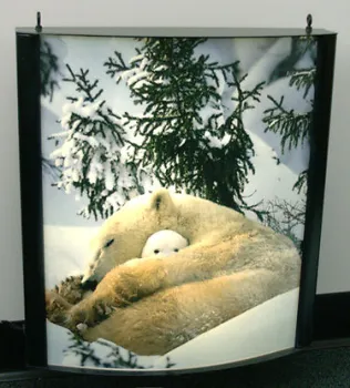 Durable Eco Front, Reverse Backlit Film Printing, Especially Used In Subway, Oem