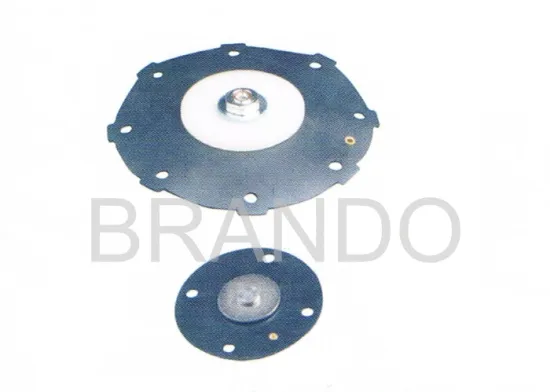 DMF-Z-76S Repair Kits NBR Diaphragm