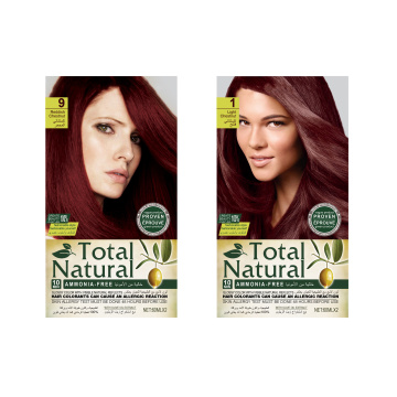 Kit de couleur de cheveux permanentes sans ammoniac à la maison