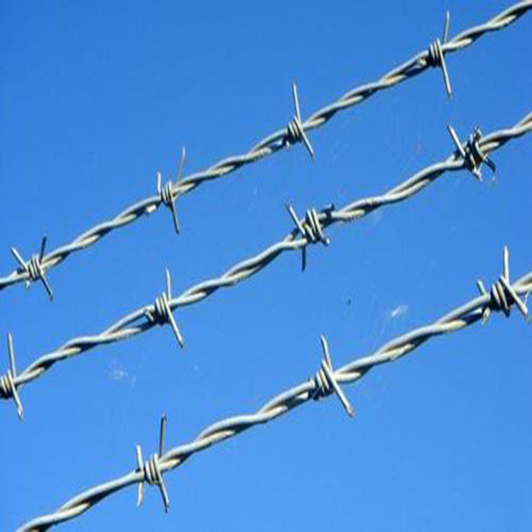 Quality Prison Barbed Wire Fence