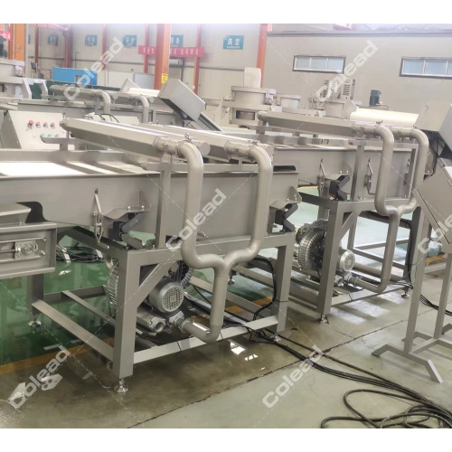 Data Palm Processing Line Vibration Cleaning Machine