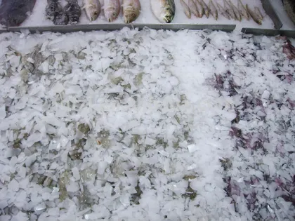 commercial flake ice machine