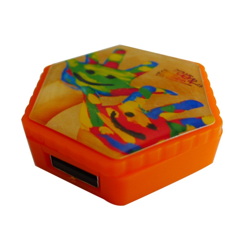 Usb flash drive promotional gift