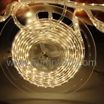 best price 5m  christmas lights led