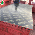 Black film laminated plywood for construction plywood