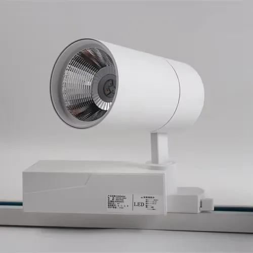 RGBW Commercial Luminaire Surface Mounted LED Rail Light for Holiday Lights