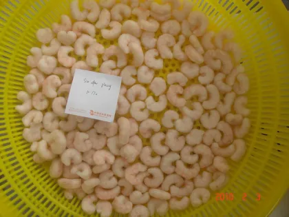 Wild Caught Frozen Iqf Red Argentine Shrimp 10kgs/carton