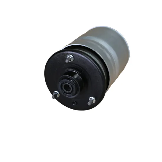 Hot Selling Suspension Spring Bellows for Land Rover Discovery 3 Rear RPD501110 Air Shock Absorber