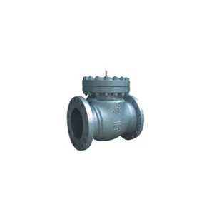 Swing Check Valve Design