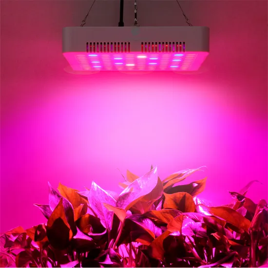 SMD Panel 300W LED Grow Light for plant