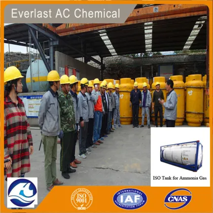 Everlast AC Chem Ammonia
