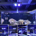 Lâmpada LED de aquário de água salgada para recife de coral