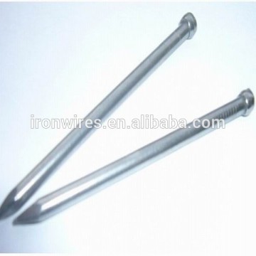 Common wood nails without head