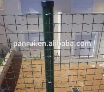 PVC Coated Euro Type Iron Welded Holland Wire Mesh/Holland Wire Mesh Euro Fencing