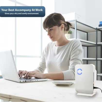 1300ml Home Moisture Absorber: Whole House Dehumidifier