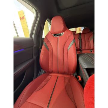 China Hongqi H6 Interior and Comfort Factory