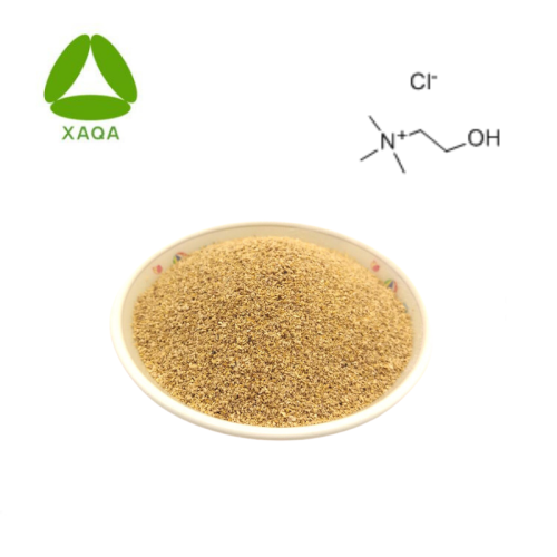 API Nutrient Aditives Material Colina Cloruro 60%